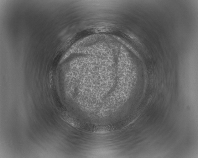 X0000052980169200508051050