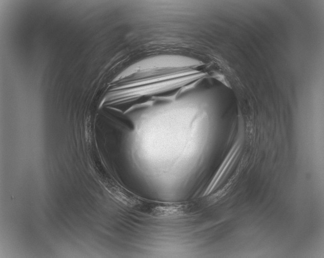 X0000052980170200508051050