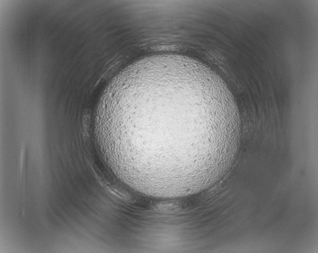 X0000052980171200508051050