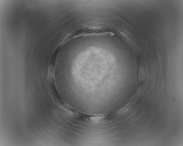 X0000052980172200508051050