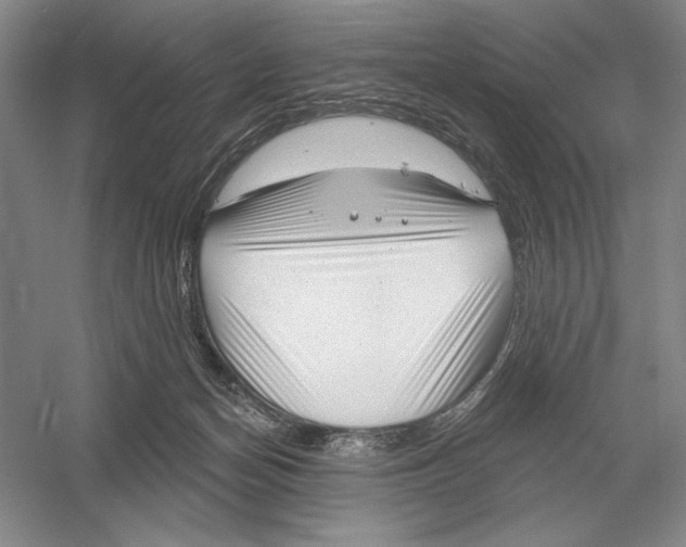 X0000052980174200508051050