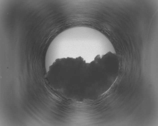 X0000052980175200508051050