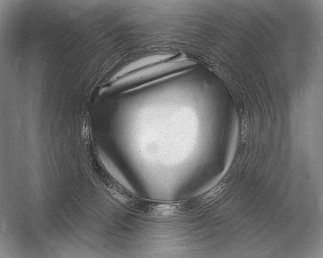 X0000052980176200508051050