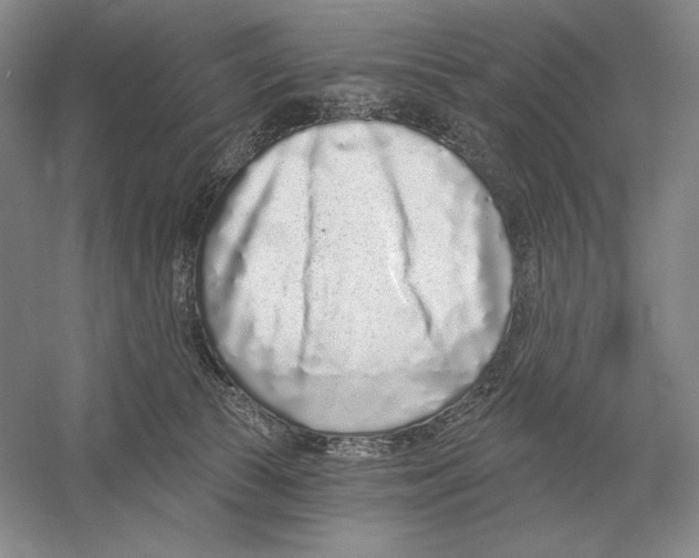 X0000052980177200508051050