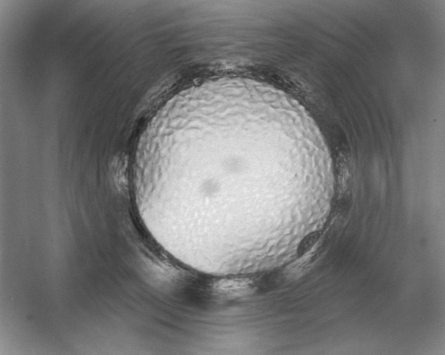 X0000052980179200508051050