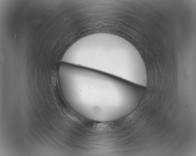 X0000052980180200508051050