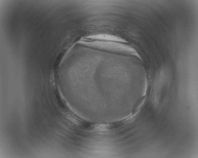 X0000052980182200508051050