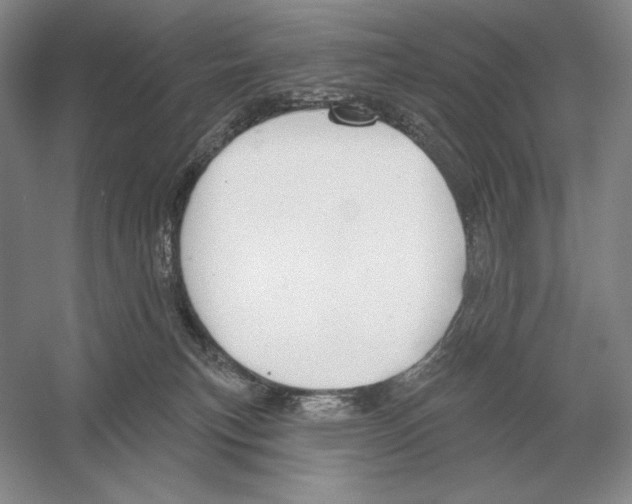 X0000052980183200508051050