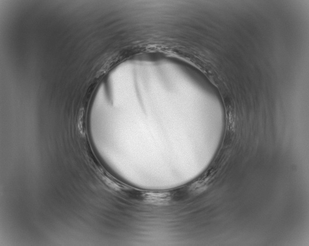 X0000052980185200508051050