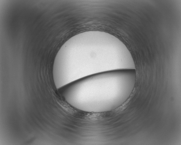 X0000052980186200508051050