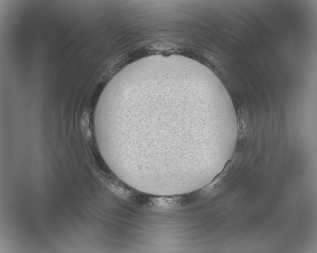 X0000052980187200508051050