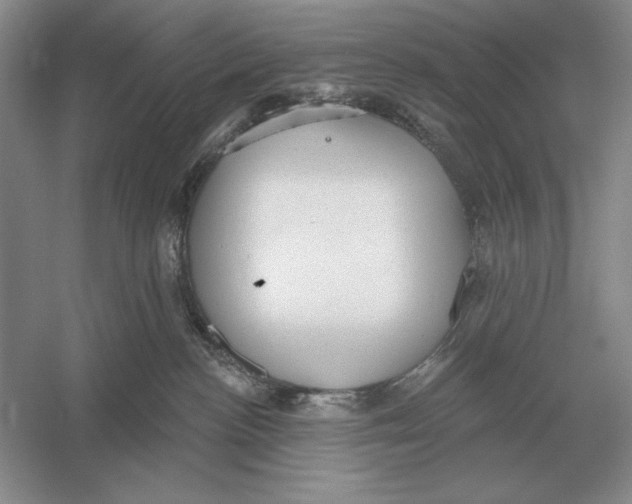 X0000052980188200508051050