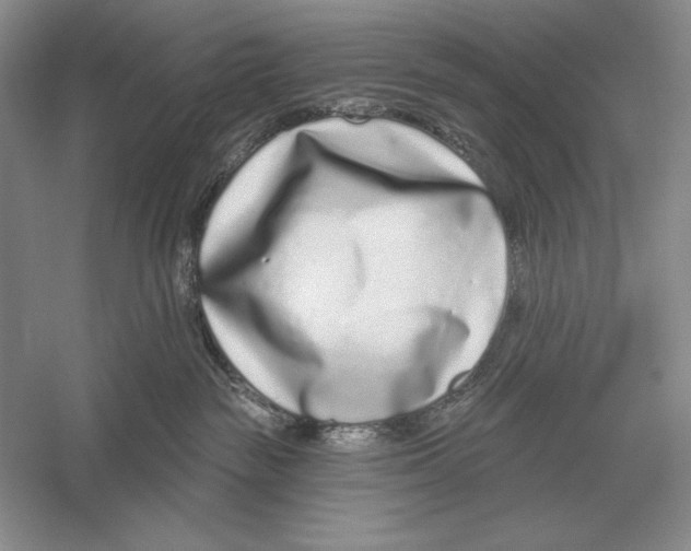 X0000052980189200508051050