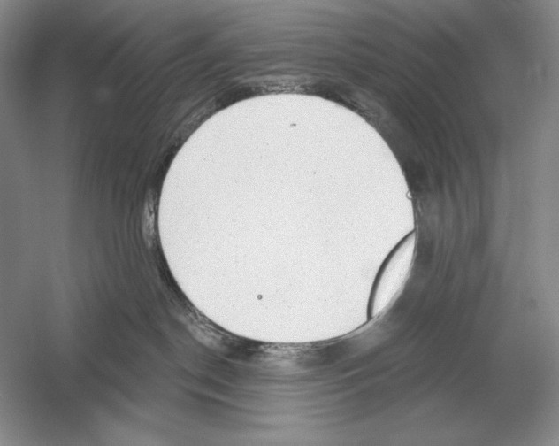 X0000052980190200508051050