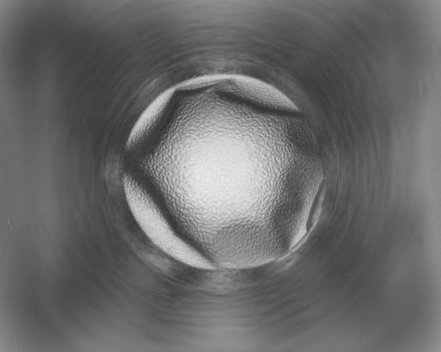 X0000052980191200508051050