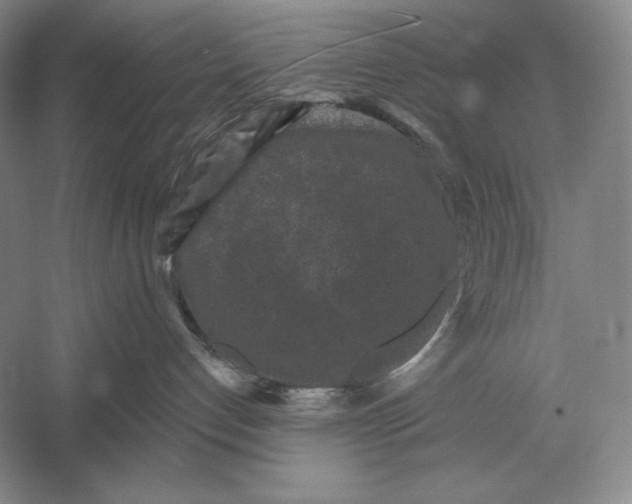 X0000052980192200508051050