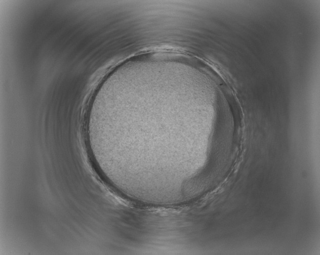 X0000052980193200508051050