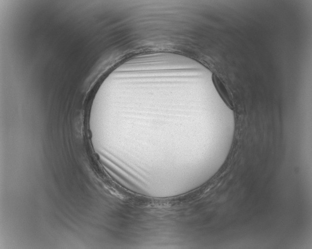 X0000052980194200508051050