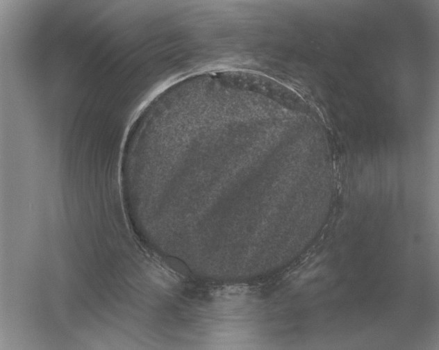 X0000052980196200508051050