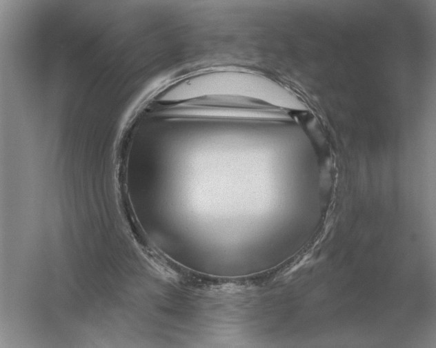 X0000052980197200508051050