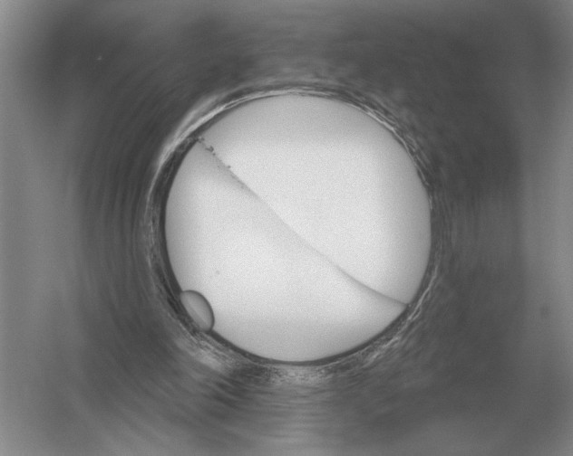 X0000052980198200508051050