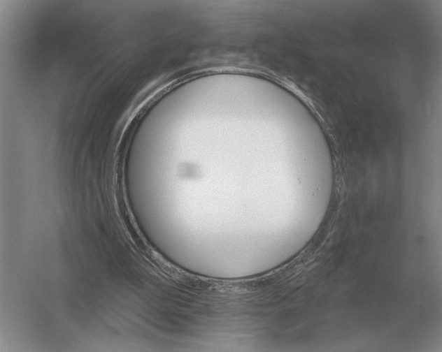 X0000052980199200508051050