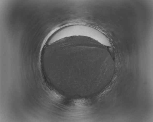 X0000052980200200508051050