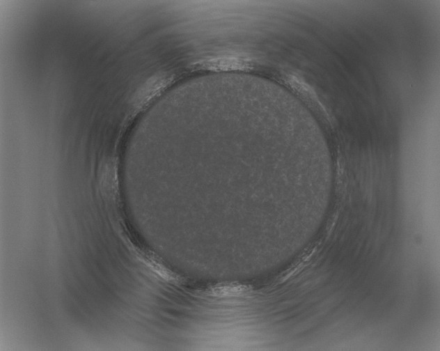 X0000052980202200508051050