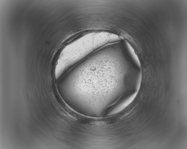 X0000052980203200508051049