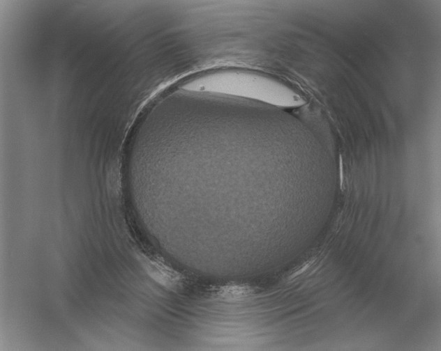 X0000052980204200508051049