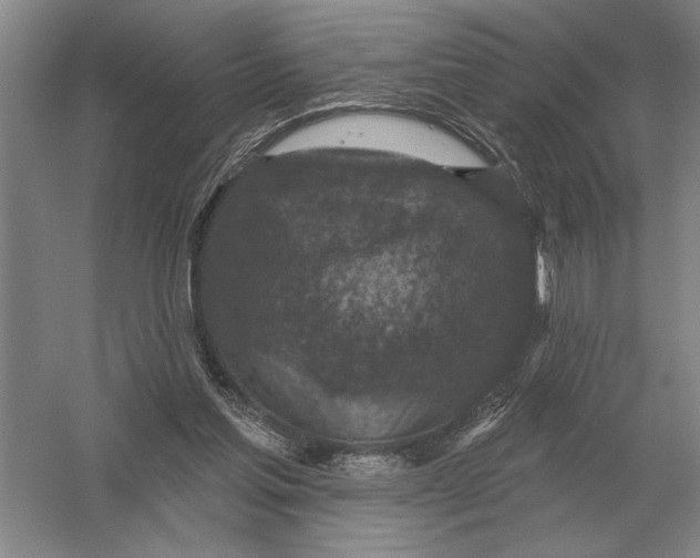 X0000052980205200508051049