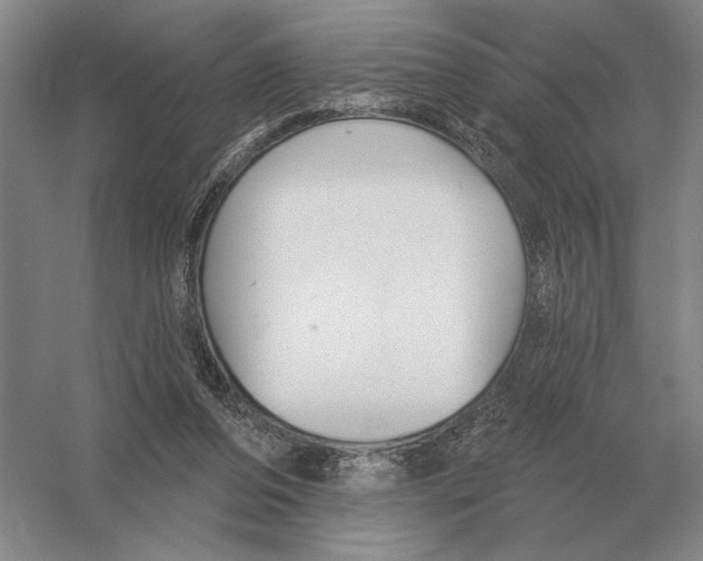 X0000052980208200508051049