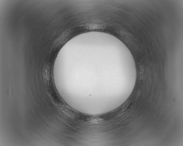 X0000052980210200508051049