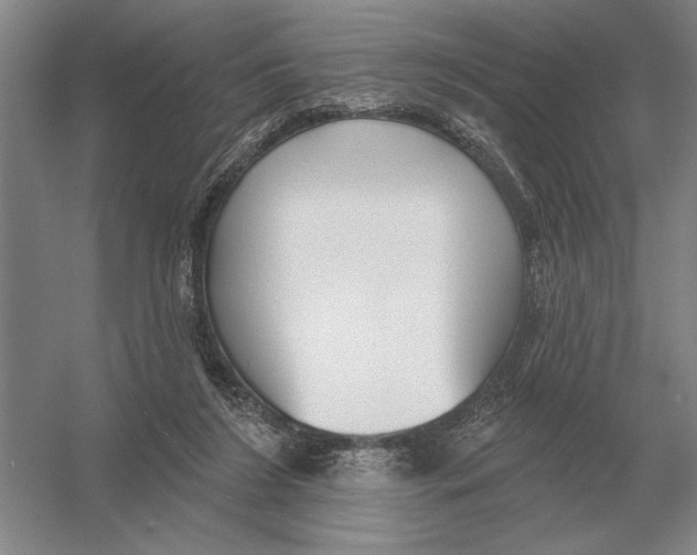 X0000052980212200508051049