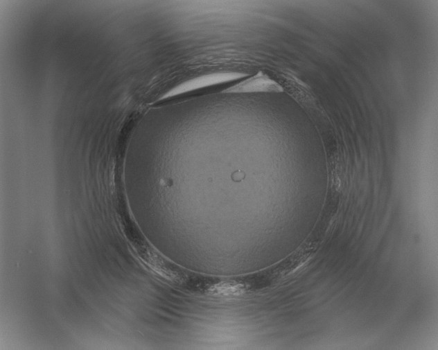 X0000052980213200508051049