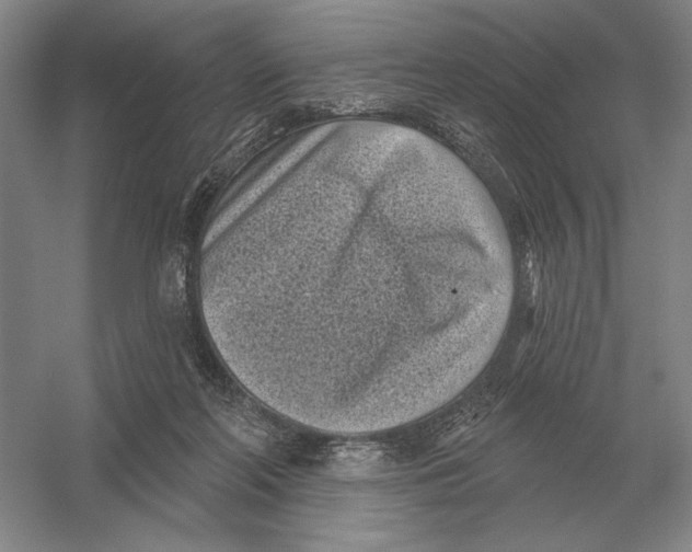 X0000052980214200508051049