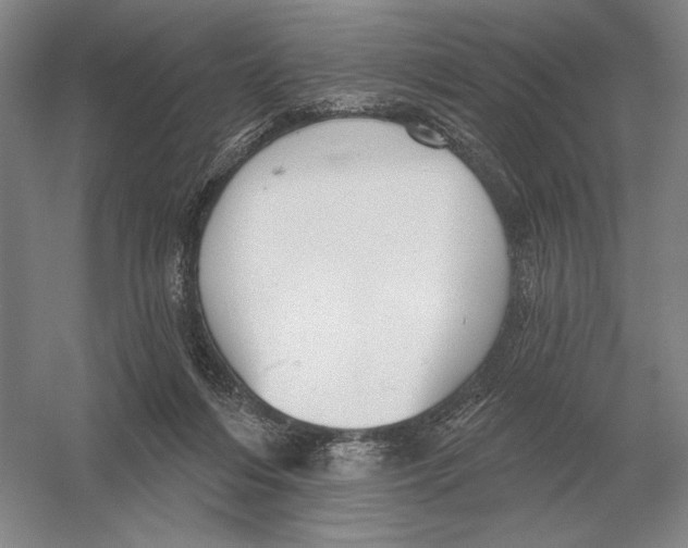 X0000052980216200508051049