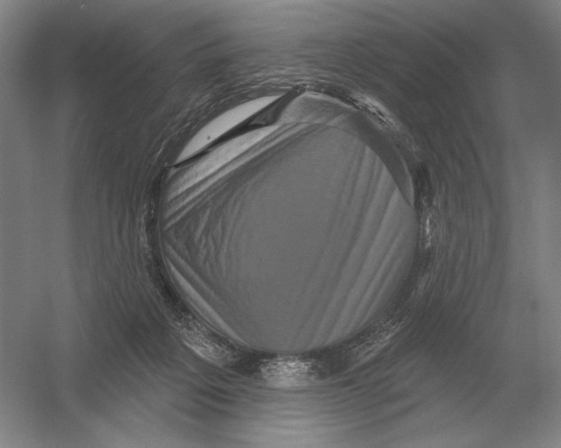 X0000052980217200508051049