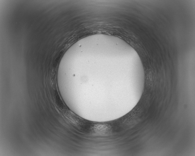 X0000052980218200508051049