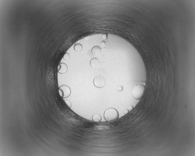 X0000052980220200508051049