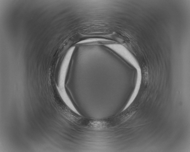 X0000052980221200508051049