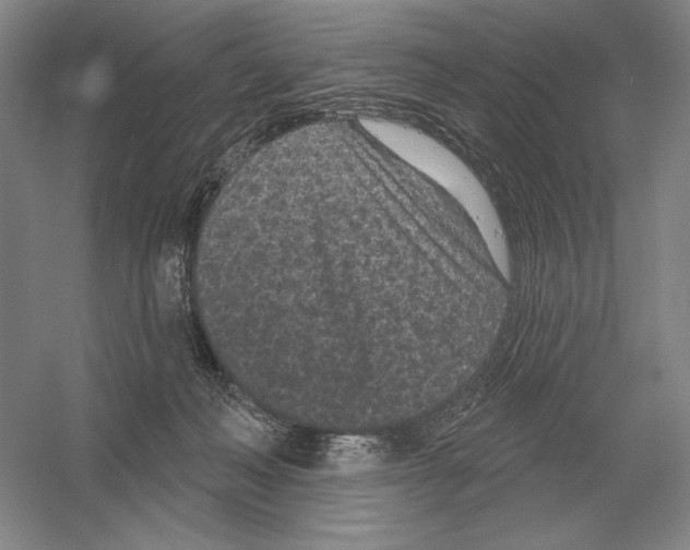 X0000052980222200508051049