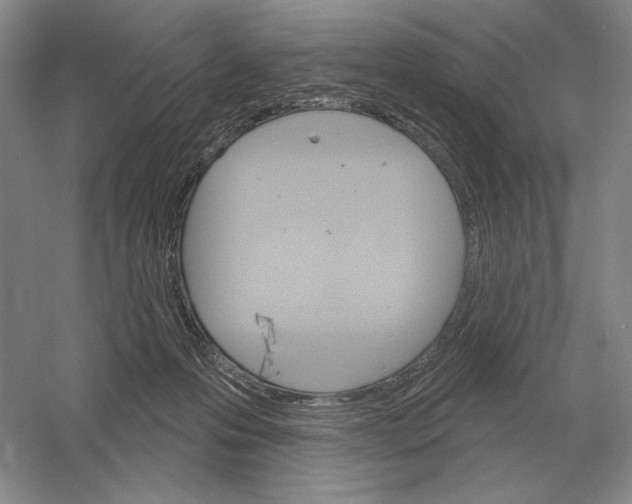 X0000052980223200508051049