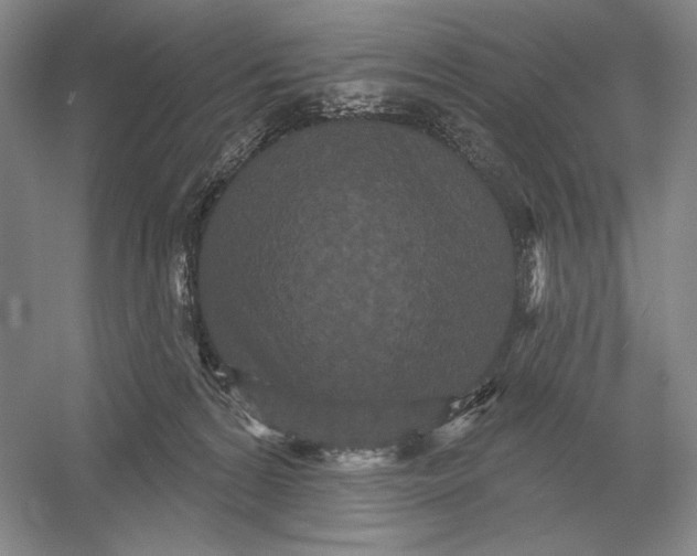 X0000052980224200508051049