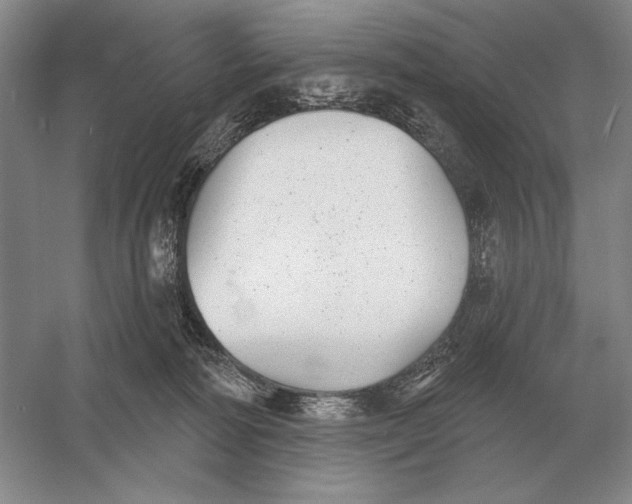 X0000052980226200508051049