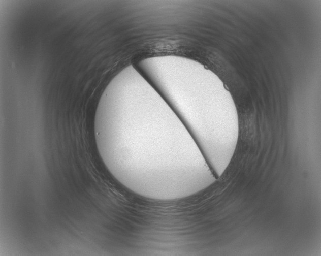 X0000052980228200508051049