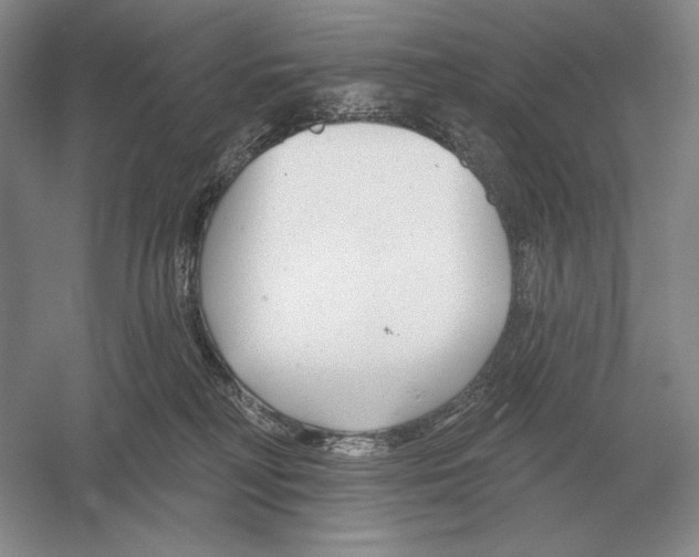 X0000052980230200508051049