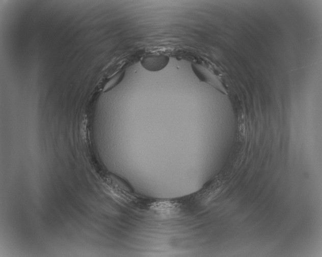 X0000052980231200508051049