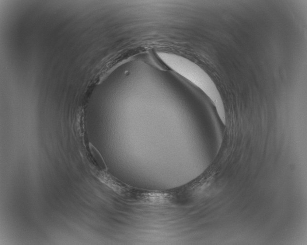 X0000052980233200508051049