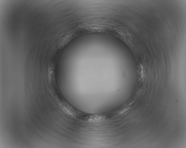 X0000052980235200508051049